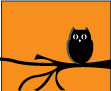Wise Old Owl