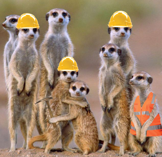 Meercats and Mining – Are we one and the same?