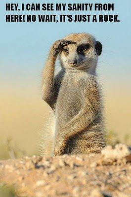 Meercats and Mining – Are we one and the same?