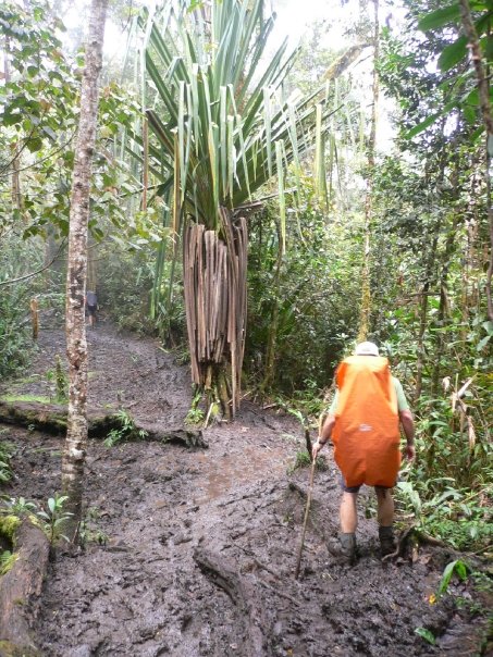 Kokoda Challenge (96km) - Stealth Recruitment Team